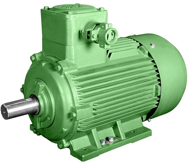 Взрывозащищенный электродвигатель АИМ112МА6